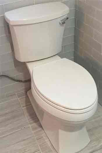 Seffner Plumbers - Toilet Repair