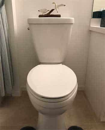 Tampa Plumbing Company - Toilet Repair