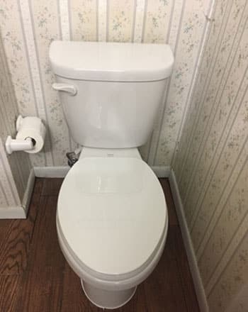 White Porcelain ADA Height Toilet