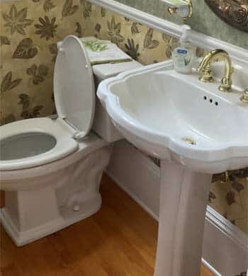Bathroom Plumbing - White sink and toilet with  Gold fixtures