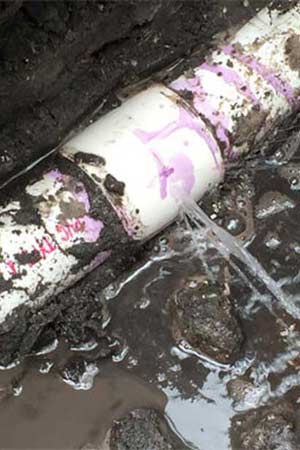PVC water line leaking at a coupling awaiting repair from Tampa plumbers