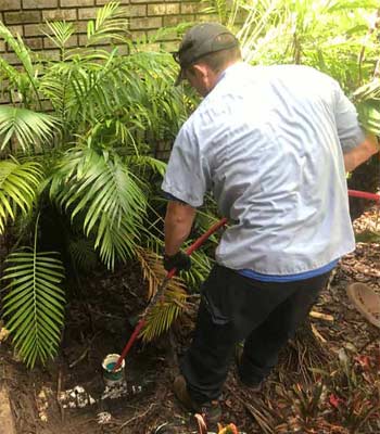 Plumbing Clearing a Drain at a Cleanout in Snell Isle, FL