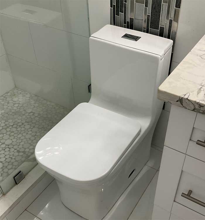 One piece, dual top flush , white porcelain toilet installed in Valrico, FL