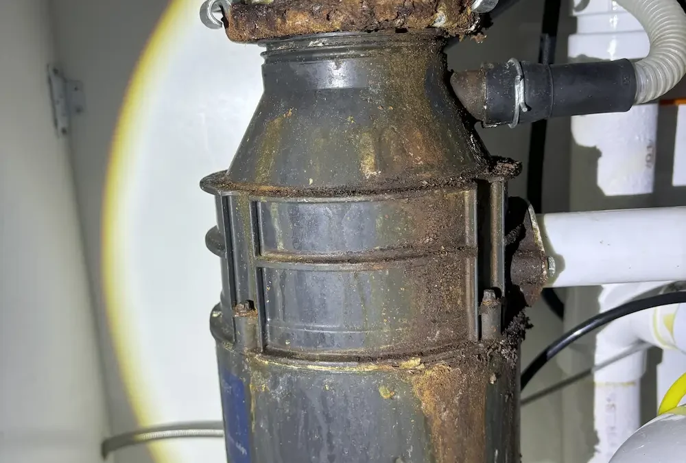 The Dangers of Ignoring a Small Leak Under Your Sink