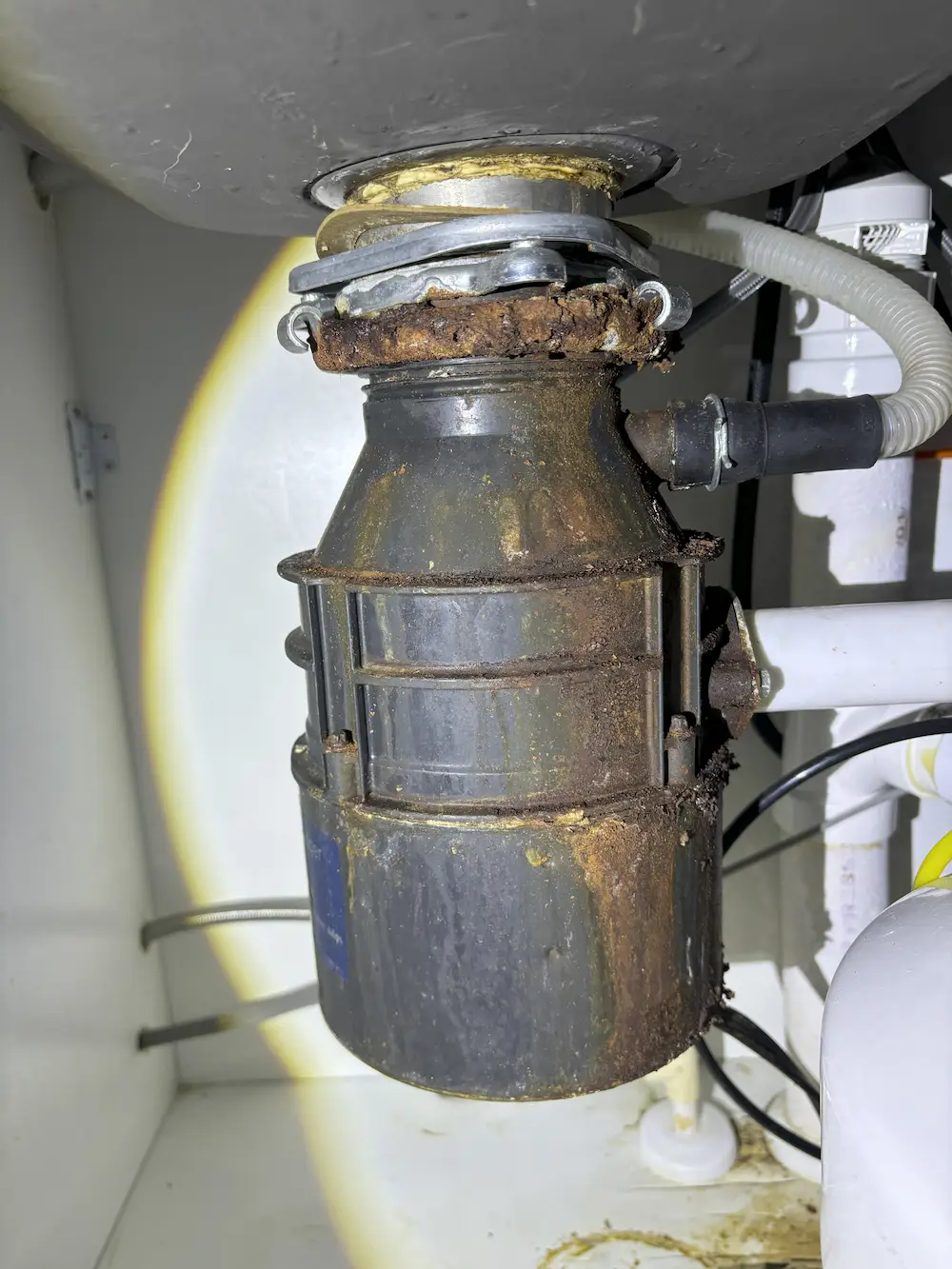 The Dangers of Ignoring a Small Leak Under Your Sink