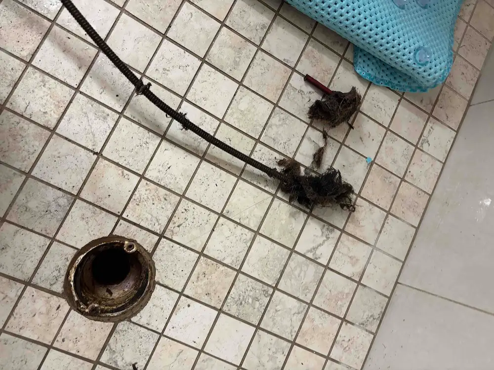 Hair and debris removed from a clogged shower drain by a Hillsborough County plumber using a drain snake.