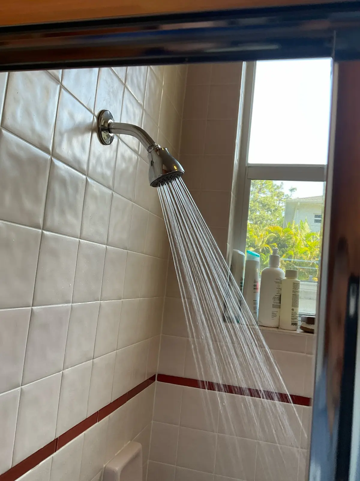 Outdated handheld showerhead before affordable plumbing upgrade in Tampa bathroom.