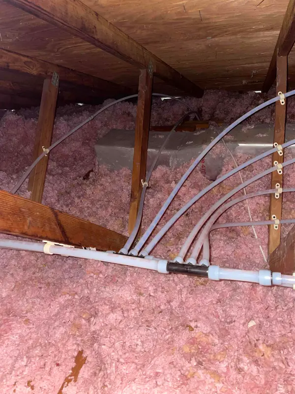 PEX water lines routed through attic insulation during whole-home repipe in St. Petersburg by EVERYDAYPLUMBER.com