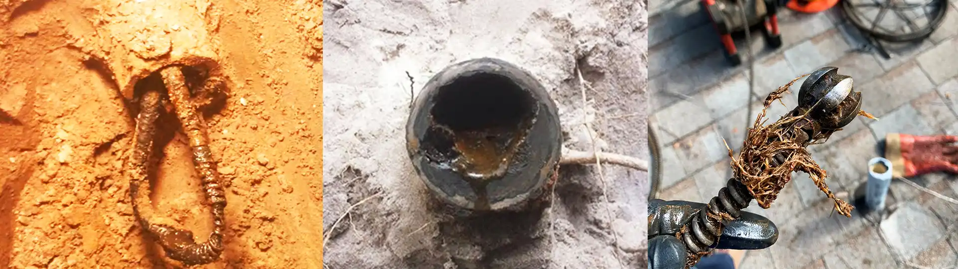 Root intrusion in a sewer line shown three ways: root-clogged cleanout, clogged pipe opening, and a drain cable pulling out roots.