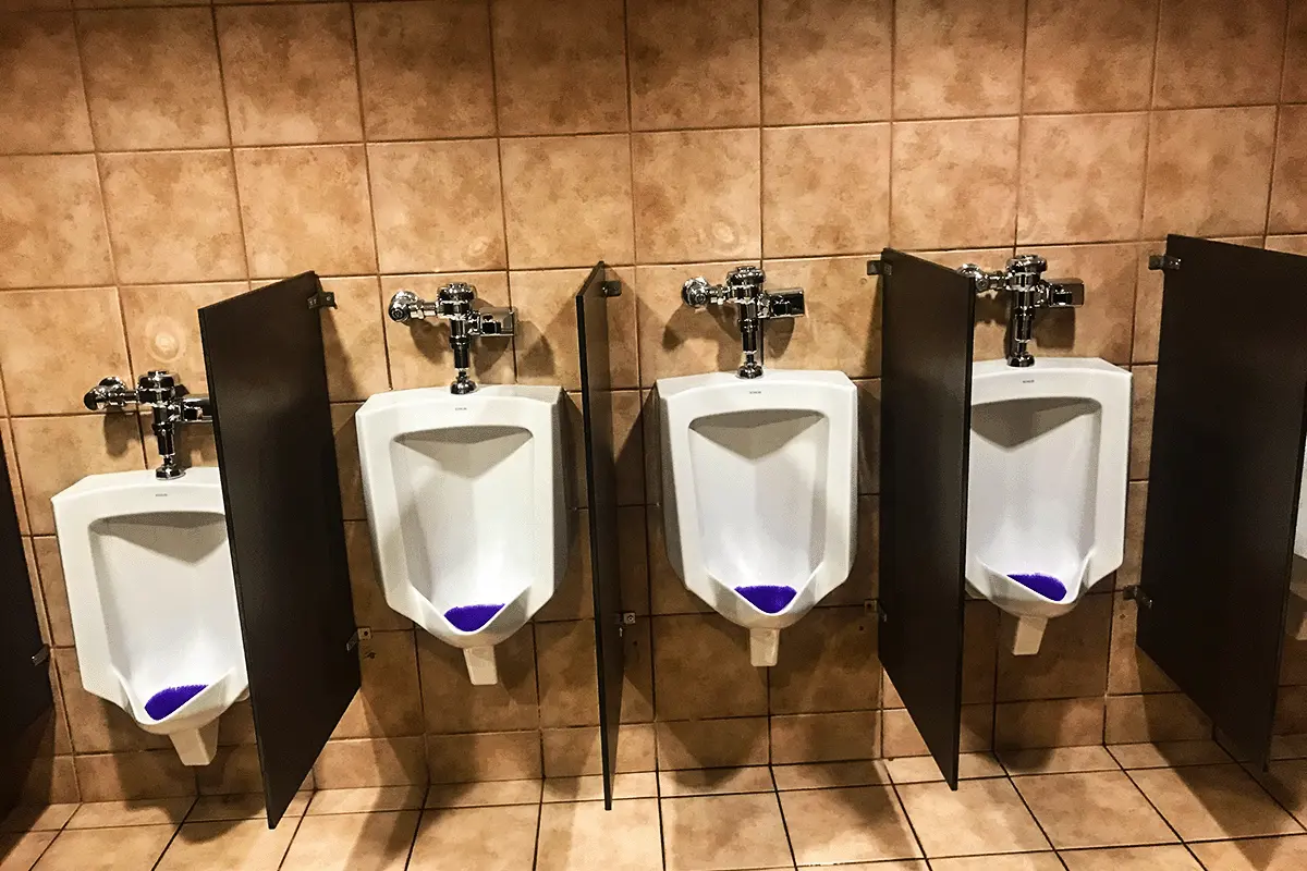 Row of commercial urinals with manual flush valves serviced by EverydayPlumber.com in a Tampa Bay commercial restroom