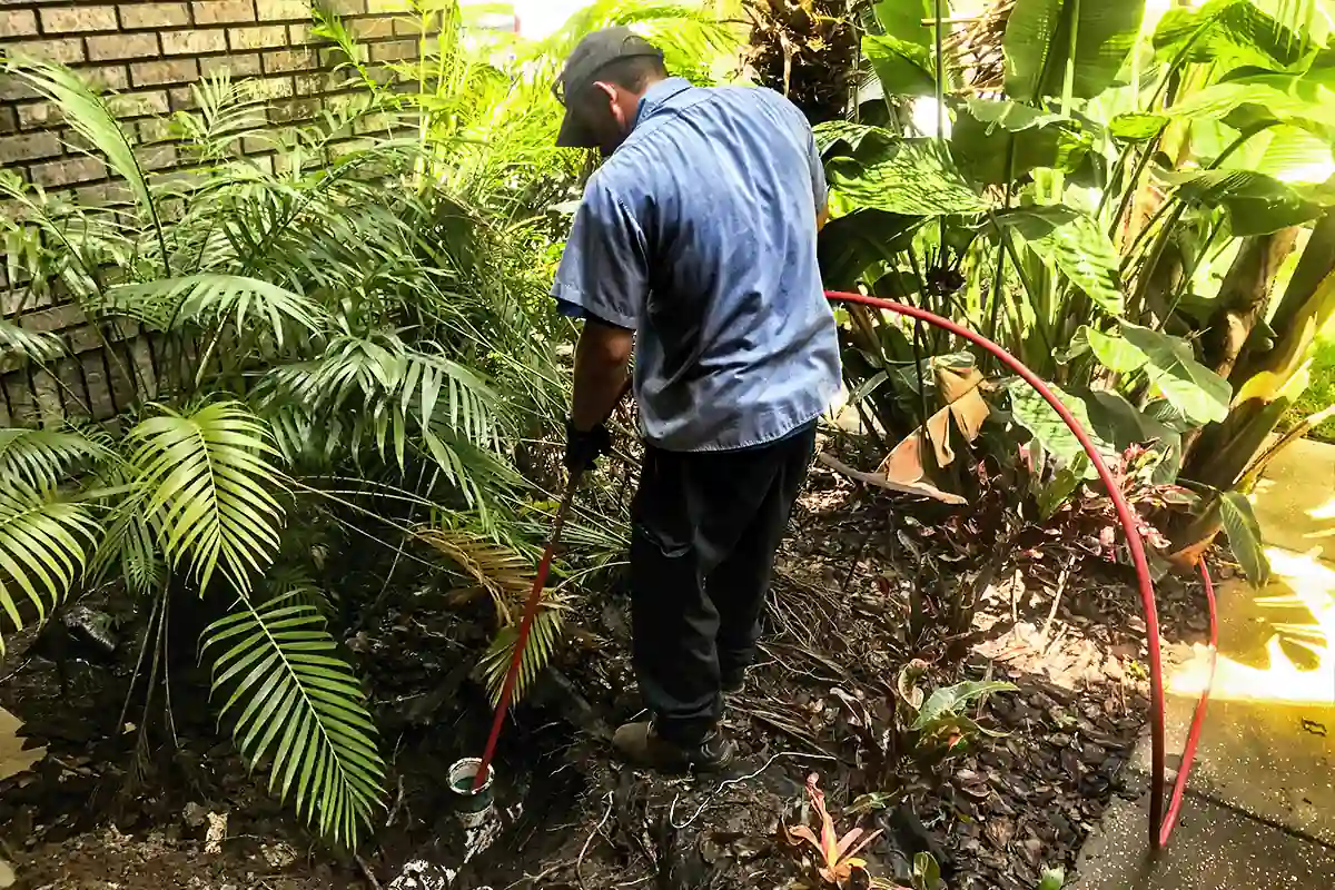 EDP plumber running drain snake through exterior sewer cleanout in landscaped yard — drain cleaning and sewer service Wesley Chapel — EVERYDAYPLUMBER.com Wesley Chapel