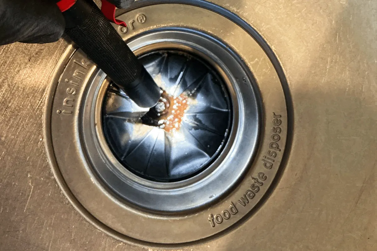 Close-up of a plumber clearing debris from inside a garbage disposal grind chamber — garbage disposal repair — EVERYDAYPLUMBER.com Tampa Bay