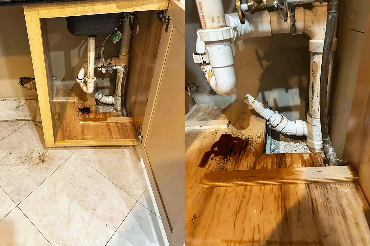 Water damage and staining on cabinet flooring caused by a leaking kitchen sink connection — garbage disposal leak repair — EVERYDAYPLUMBER.com Tampa Bay