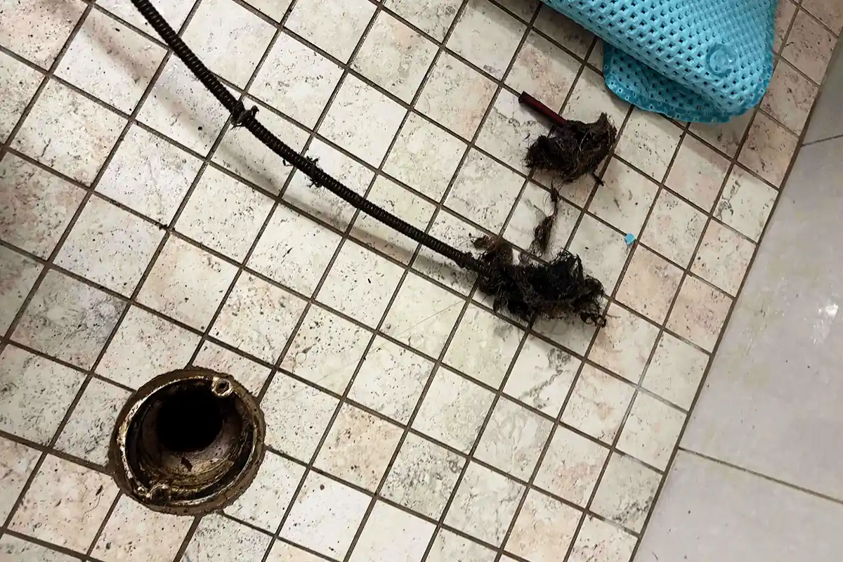 edp-hair-clog-drain-snake-removal-2026 Drain snake cable pulling a hair clog from a floor cleanout — drain cleaning services — EVERYDAYPLUMBER.com Temple Terrace